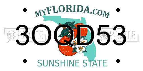 3OQD53 Florida License Plate