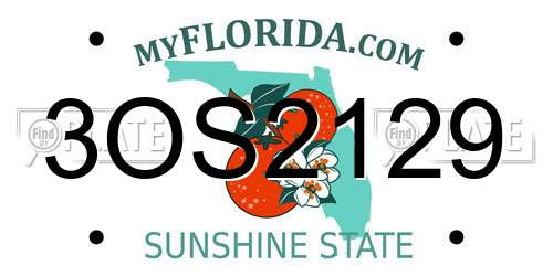 3OS2129 Florida License Plate