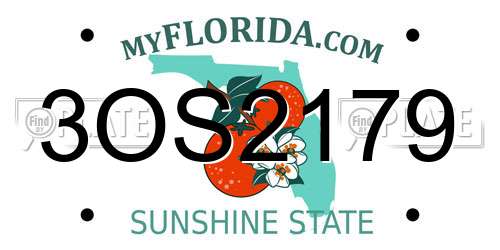 3OS2179 Florida License Plate