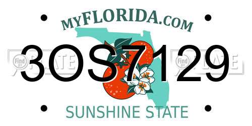 3OS7129 Florida License Plate