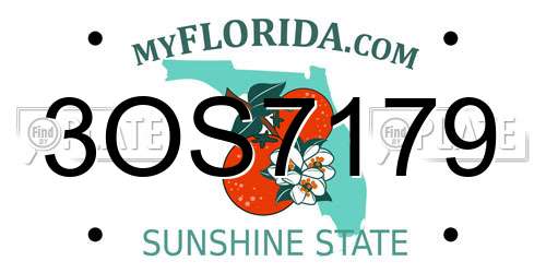 3OS7179 Florida License Plate