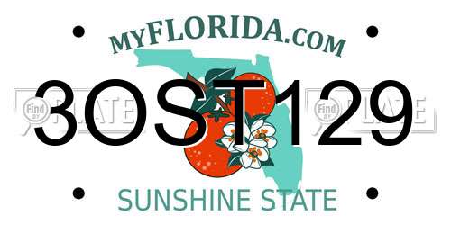 3OST129 Florida License Plate