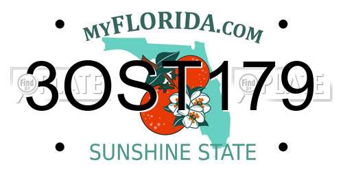 3OST179 Florida License Plate