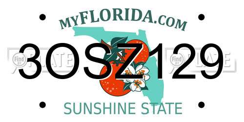 3OSZ129 Florida License Plate