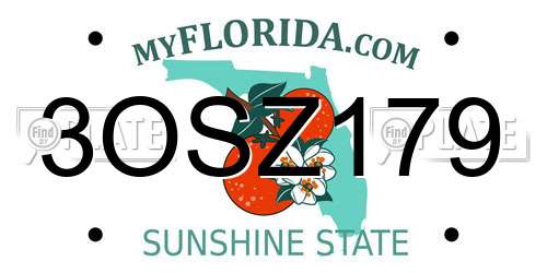 3OSZ179 Florida License Plate