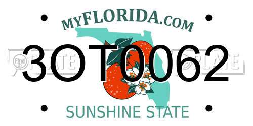 3OT0062 Florida License Plate