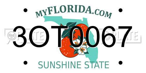 3OT0067 Florida License Plate