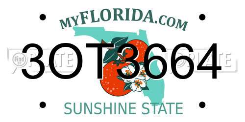 3OT3664 Florida License Plate