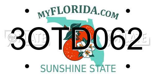 3OTD062 Florida License Plate