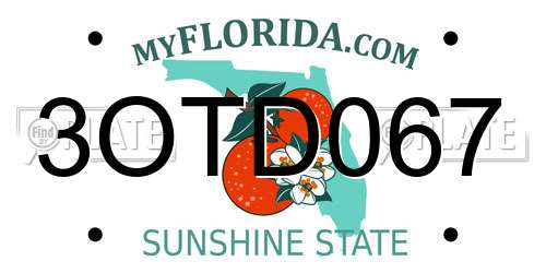 3OTD067 Florida License Plate