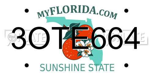 3OTE664 Florida License Plate
