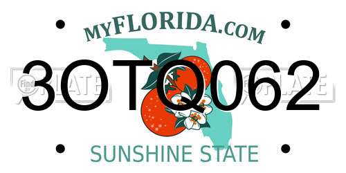 3OTQ062 Florida License Plate
