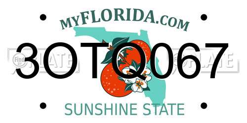 3OTQ067 Florida License Plate