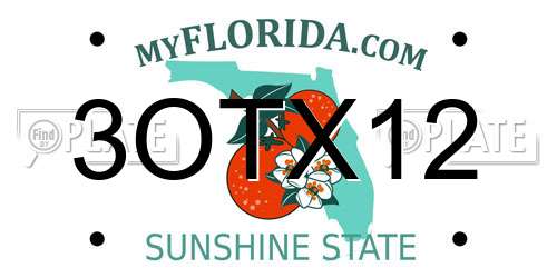 3OTX12 Florida License Plate