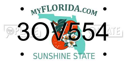 3OV554 Florida License Plate
