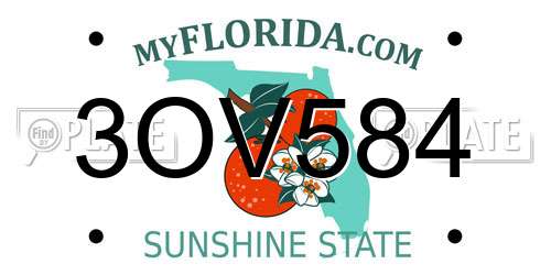 3OV584 Florida License Plate