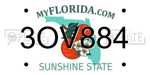 3OV884 Florida License Plate