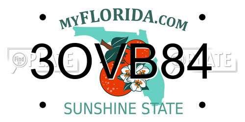 3OVB84 Florida License Plate