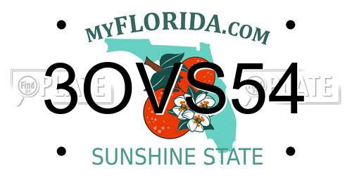 3OVS54 Florida License Plate