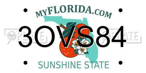 3OVS84 Florida License Plate