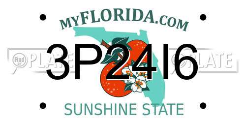 3P24I6 Florida License Plate