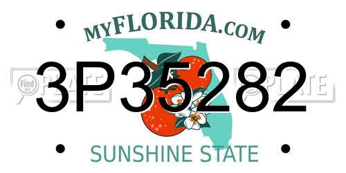 3P35282 Florida License Plate