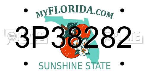3P38282 Florida License Plate