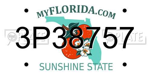 3P38757 Florida License Plate