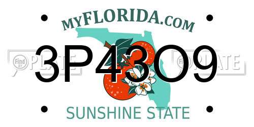 3P43O9 Florida License Plate