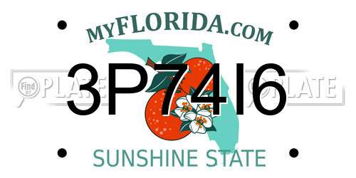 3P74I6 Florida License Plate