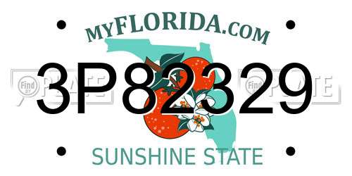 3P82329 Florida License Plate
