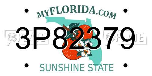 3P82379 Florida License Plate