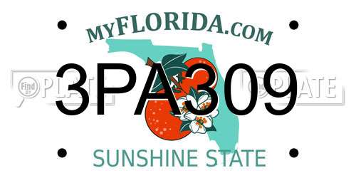 3PA309 Florida License Plate