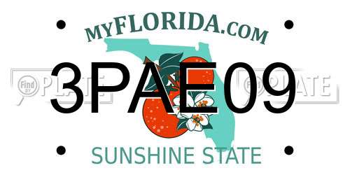 3PAE09 Florida License Plate
