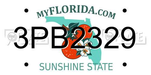 3PB2329 Florida License Plate