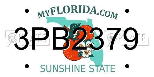 3PB2379 Florida License Plate