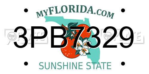 3PB7329 Florida License Plate