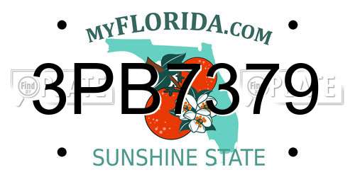 3PB7379 Florida License Plate