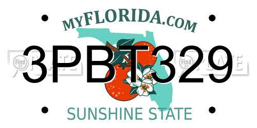 3PBT329 Florida License Plate