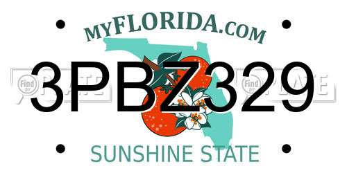 3PBZ329 Florida License Plate