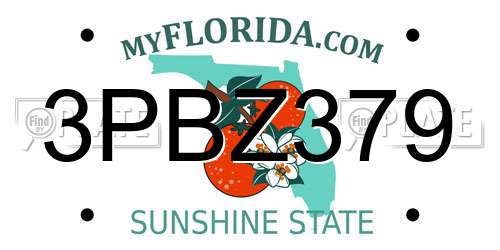 3PBZ379 Florida License Plate