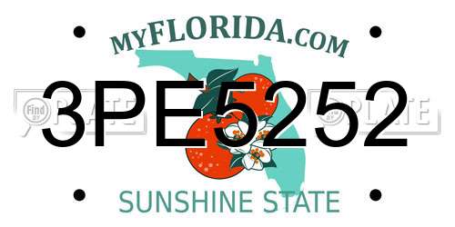 3PE5252 Florida License Plate