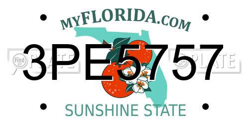 3PE5757 Florida License Plate