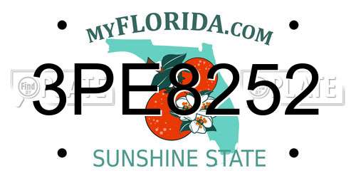 3PE8252 Florida License Plate