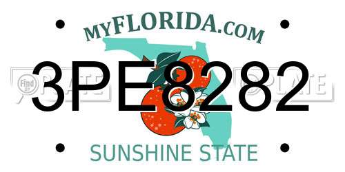 3PE8282 Florida License Plate