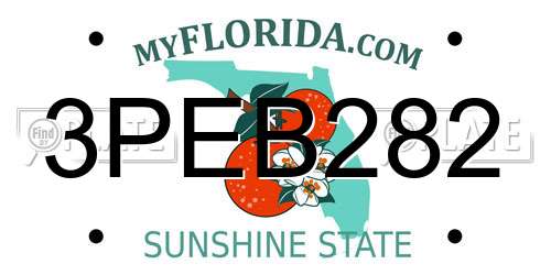 3PEB282 Florida License Plate