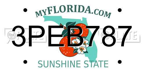 3PEB787 Florida License Plate