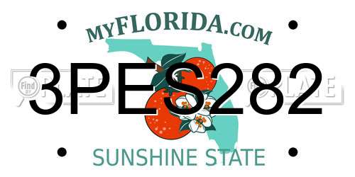 3PES282 Florida License Plate