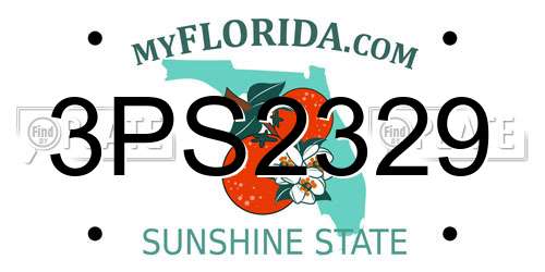 3PS2329 Florida License Plate