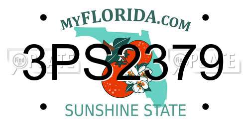 3PS2379 Florida License Plate